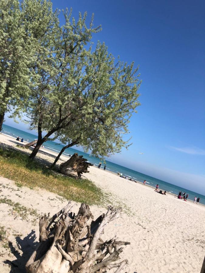 North Spa&Pools AlezziBeach Năvodari Zewnętrze zdjęcie